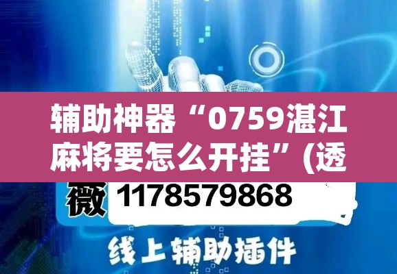 辅助神器“0759湛江麻将要怎么开挂”(透视挂)辅助透视教程