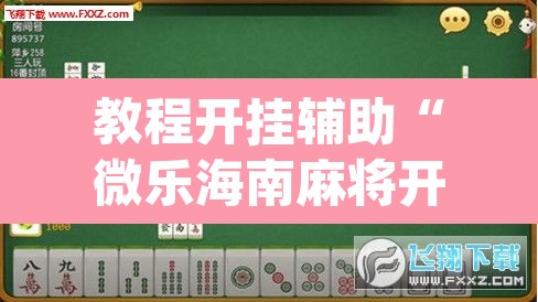 教程开挂辅助“微乐海南麻将开挂神器”(透视挂)辅助透视教程