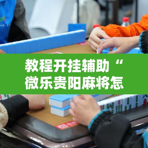 教程开挂辅助“微乐贵阳麻将怎么开挂”(透视挂)辅助透视教程