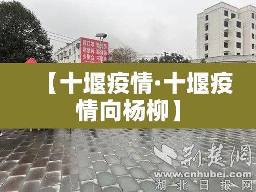 【十堰疫情·十堰疫情向杨柳】 【十堰疫情·十堰疫情向杨柳】