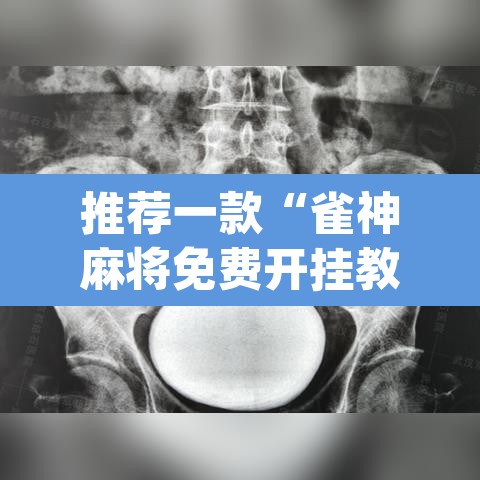 推荐一款“雀神麻将免费开挂教程”(透视挂)辅助透视教程