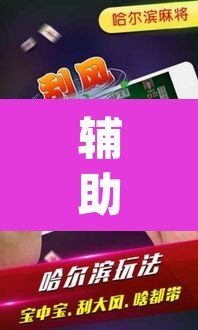 辅助神器“微乐云南麻将开挂神器下载”(透视挂)辅助透视教程