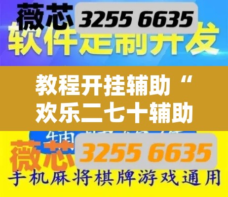 教程开挂辅助“欢乐二七十辅助工具”(透视挂)辅助透视教程