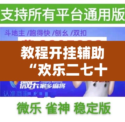 教程开挂辅助“欢乐二七十辅助工具	”(透视挂)辅助透视教程