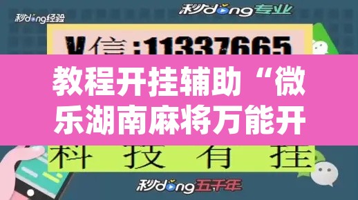 教程开挂辅助“微乐湖南麻将万能开挂器免费”(透视挂)辅助透视教程