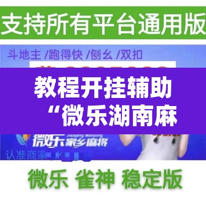 教程开挂辅助“微乐湖南麻将万能开挂器免费”(透视挂)辅助透视教程