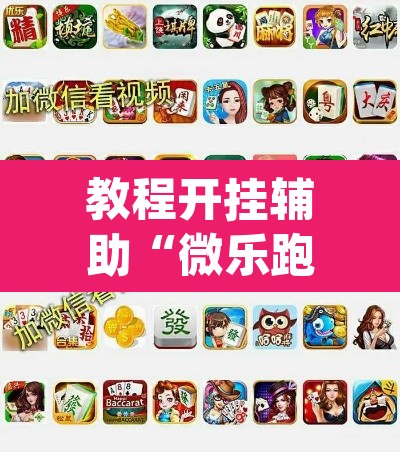 教程开挂辅助“微乐跑得快万能开挂器通用版下载”(透视挂)辅助透视教程