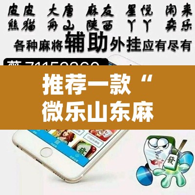 推荐一款“微乐山东麻将开挂免费下载安装”(透视挂)辅助透视教程
