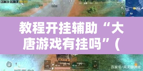教程开挂辅助“大唐游戏有挂吗”(透视挂)辅助透视教程