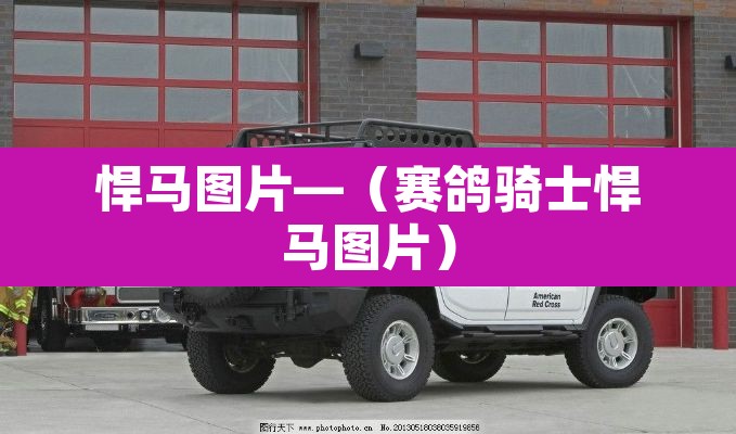 悍马图片—(赛鸽骑士悍马图片) 悍马图片—(赛鸽骑士悍马图片)