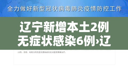 辽宁新增本土2例无症状感染6例›辽宁新增1例无症状
