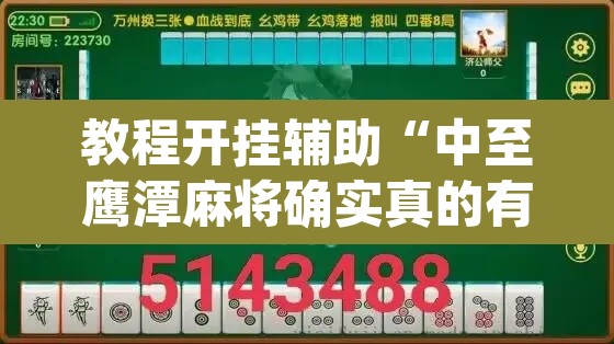 教程开挂辅助“中至鹰潭麻将确实真的有挂吗”(透视挂)辅助透视教程