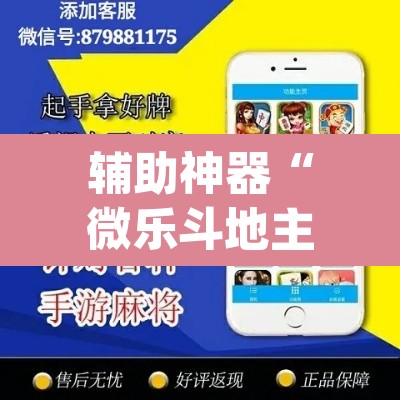 辅助神器“微乐斗地主自建房怎么拿好牌	”(透视挂)辅助透视教程