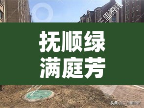 抚顺绿满庭芳疫情:抚顺绿满庭芳对口小学 抚顺绿满庭芳疫情:抚顺绿满庭芳对口小学