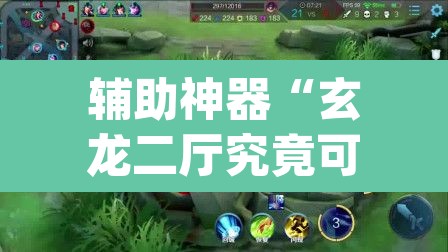 辅助神器“玄龙二厅究竟可以开挂吗”(透视挂)辅助透视教程