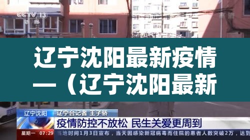 辽宁沈阳最新疫情—（辽宁沈阳最新疫情今天）