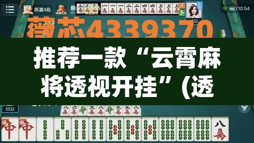 推荐一款“云霄麻将透视开挂	”(透视挂)辅助透视教程