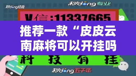 推荐一款“皮皮云南麻将可以开挂吗	”(透视挂)辅助透视教程