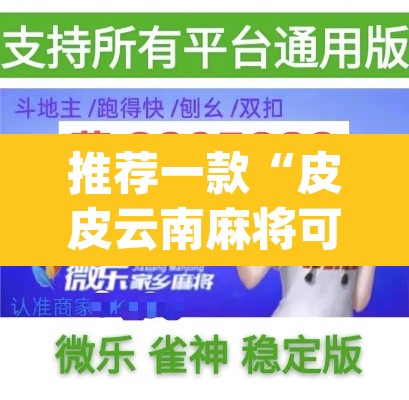 推荐一款“皮皮云南麻将可以开挂吗	”(透视挂)辅助透视教程