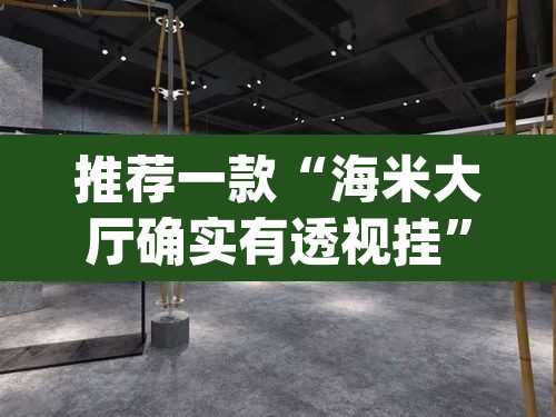 推荐一款“海米大厅确实有透视挂”(透视挂)辅助透视教程