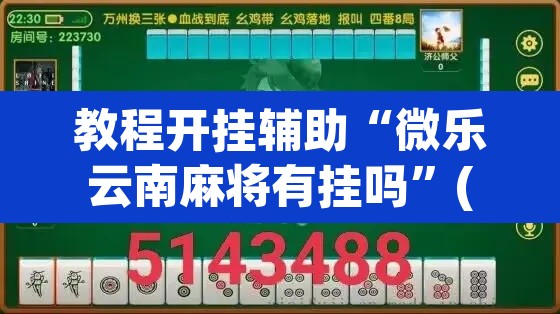 教程开挂辅助“微乐云南麻将有挂吗”(透视挂)辅助透视教程