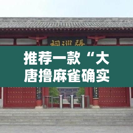 推荐一款“大唐撸麻雀确实可以开挂”(透视挂)辅助透视教程