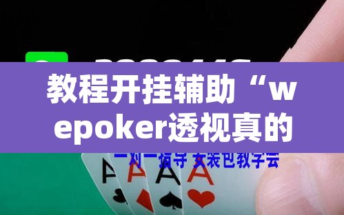 教程开挂辅助“wepoker透视真的吗”(透视挂)辅助透视教程