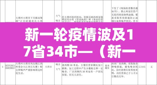 新一轮疫情波及17省34市—(新一轮疫情波及12省24市) 新一轮疫情波及17省34市—(新一轮疫情波及12省24市)