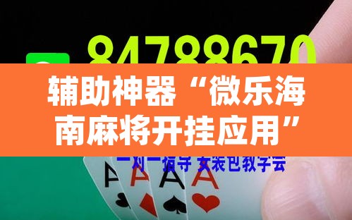 辅助神器“微乐海南麻将开挂应用”(透视挂)辅助透视教程