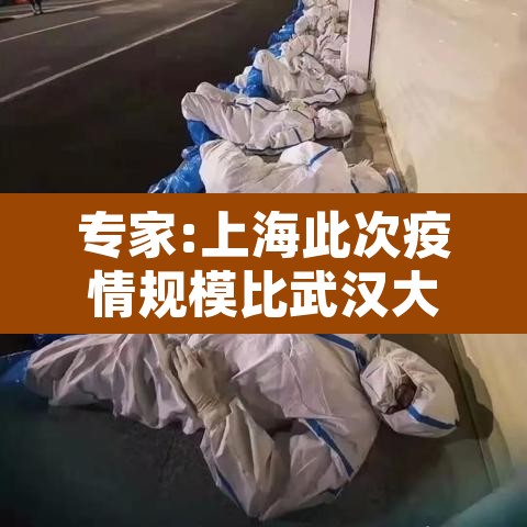 专家:上海此次疫情规模比武汉大:上海疫情 武汉 专家:上海此次疫情规模比武汉大:上海疫情 武汉