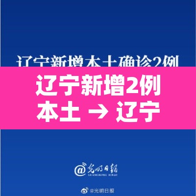 辽宁新增2例本土 → 辽宁新增2例本土确诊病例详细信息