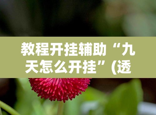 教程开挂辅助“九天怎么开挂	”(透视挂)辅助透视教程