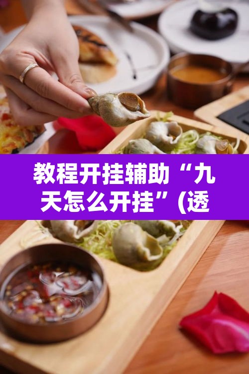 教程开挂辅助“九天怎么开挂	”(透视挂)辅助透视教程