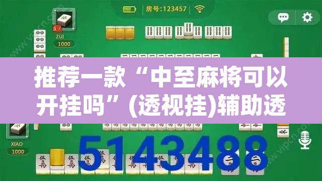 推荐一款“中至麻将可以开挂吗”(透视挂)辅助透视教程