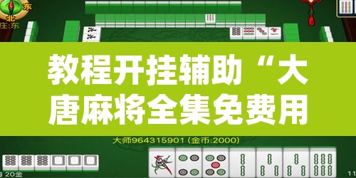 教程开挂辅助“大唐麻将全集免费用挂”(透视挂)辅助透视教程