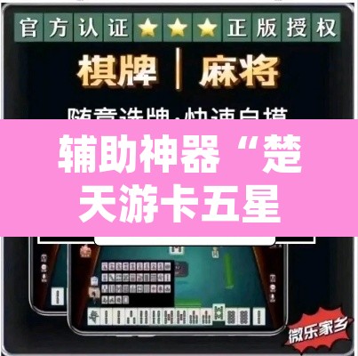 辅助神器“楚天游卡五星辅助器”(透视挂)辅助透视教程