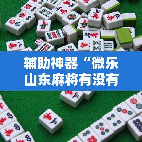 辅助神器“微乐山东麻将有没有开挂神器”(透视挂)辅助透视教程