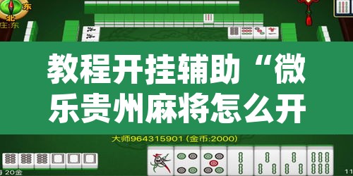 教程开挂辅助“微乐贵州麻将怎么开挂”(透视挂)辅助透视教程