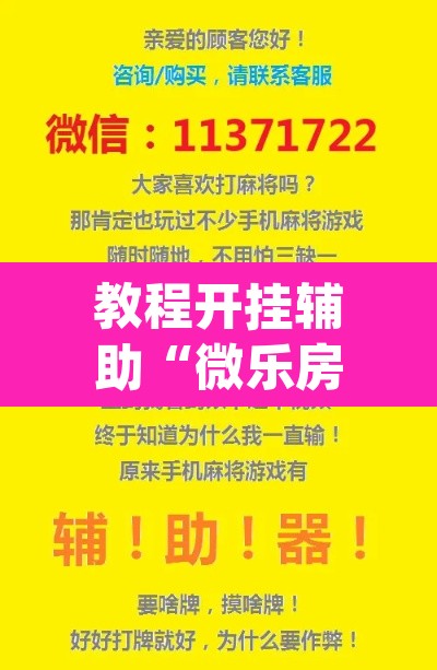教程开挂辅助“微乐房间怎么开挂视频	”(透视挂)辅助透视教程