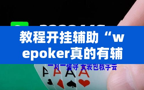 教程开挂辅助“wepoker真的有辅助吗	”(透视挂)辅助透视教程