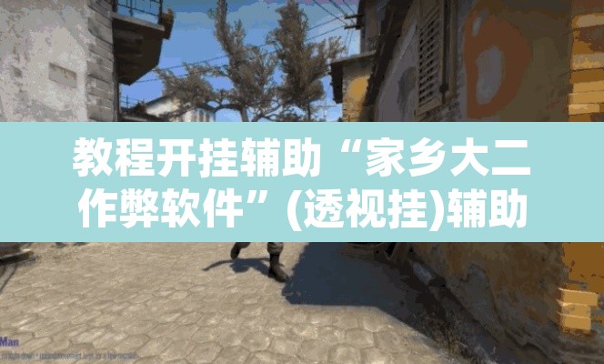 教程开挂辅助“家乡大二作弊软件”(透视挂)辅助透视教程
