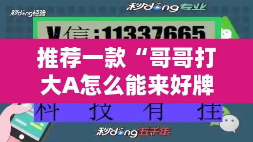 推荐一款“哥哥打大A怎么能来好牌”(透视挂)辅助透视教程