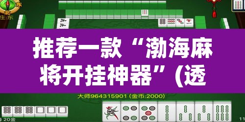 推荐一款“渤海麻将开挂神器	”(透视挂)辅助透视教程