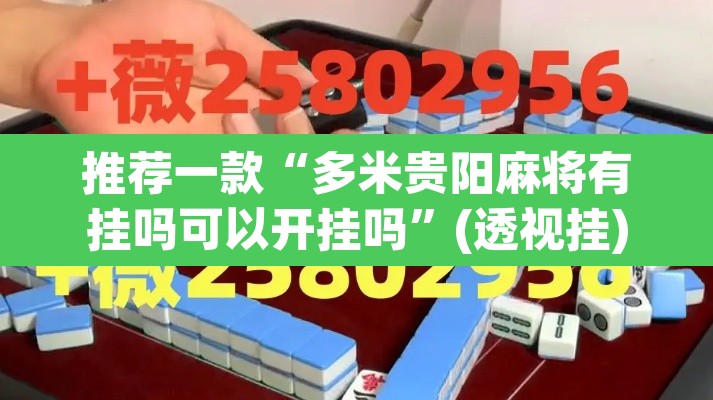 推荐一款“多米贵阳麻将有挂吗可以开挂吗”(透视挂)辅助透视教程