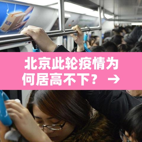 北京此轮疫情为何居高不下? → 北京疫情为什么突然爆发 北京此轮疫情为何居高不下? → 北京疫情为什么突然爆发