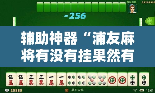 辅助神器“浦友麻将有没有挂果然有挂”(透视挂)辅助透视教程