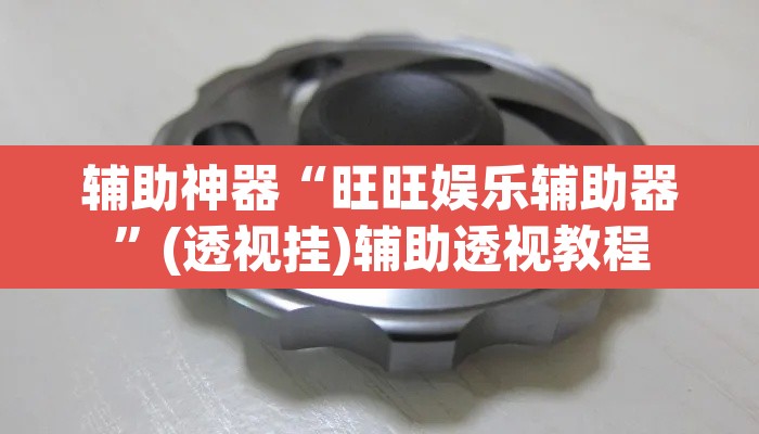 辅助神器“旺旺娱乐辅助器”(透视挂)辅助透视教程