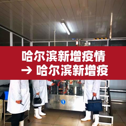 哈尔滨新增疫情 → 哈尔滨新增疫情在哪个区 哈尔滨新增疫情 → 哈尔滨新增疫情在哪个区