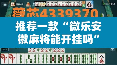 推荐一款“微乐安徽麻将能开挂吗	”(透视挂)辅助透视教程