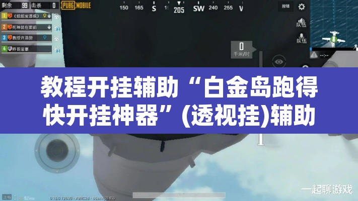 教程开挂辅助“白金岛跑得快开挂神器”(透视挂)辅助透视教程